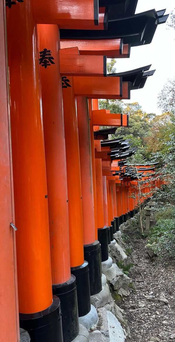 Pic by me. Japan