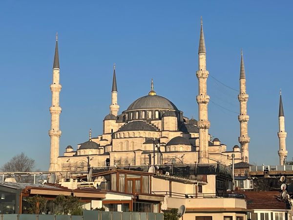 A Small Roll with a Big Story: Discovering Dolma in Istanbul