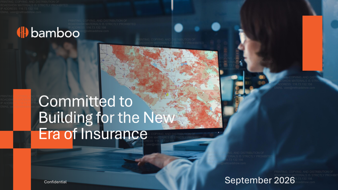 Bamboo Insurance (BMB) IPO deck