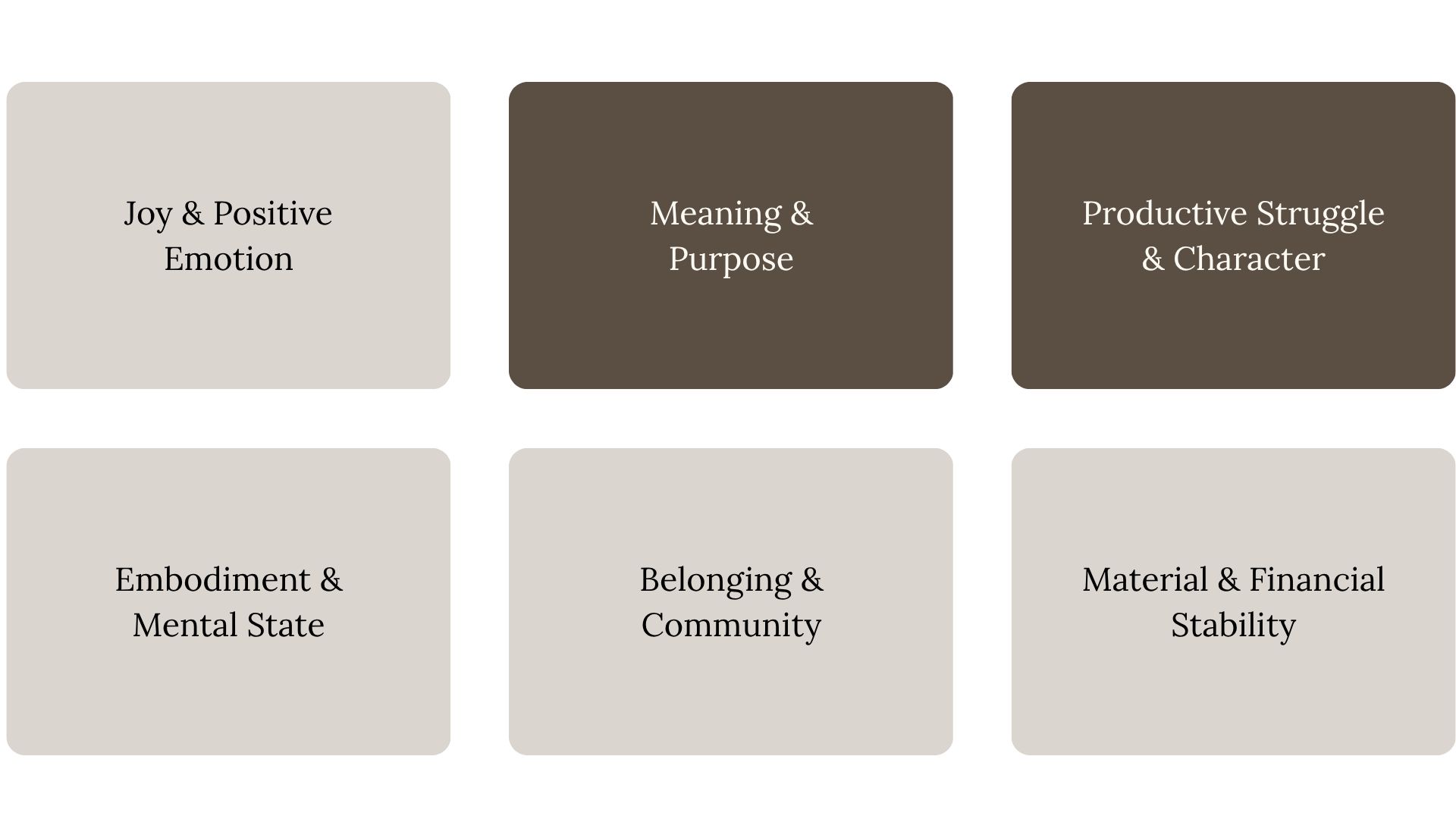 Joy & Positive Emotion, Meaning & Purpose, Productive Struggle & Character, Embodiment & Mental State, Belonging & Community, Financial & Material Stability