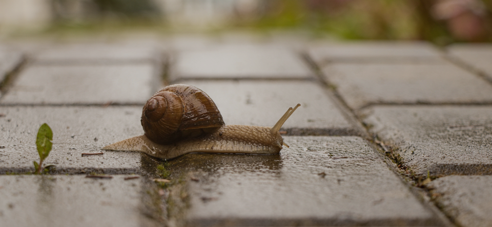 SlowTeching V0.1: A Reflective Framework for Intentional Technology