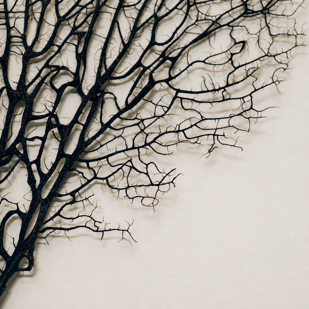 Branching in nature