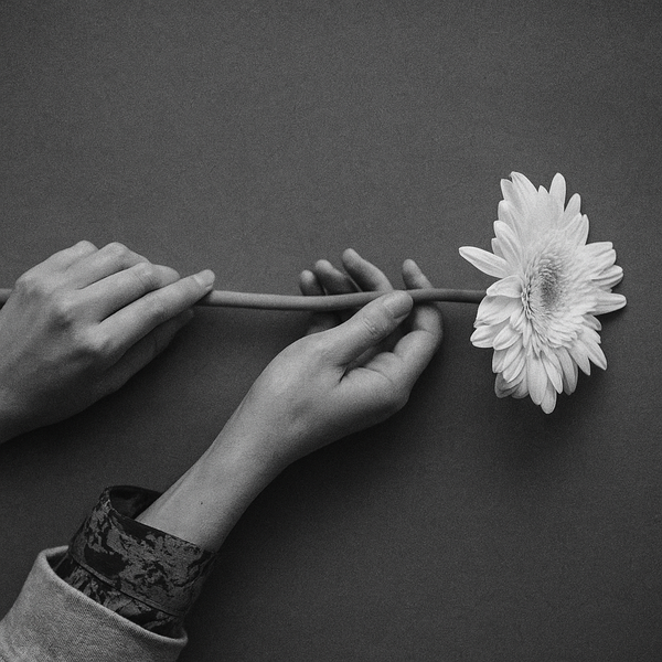 a person holding a flower on a dark surface