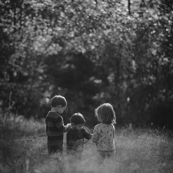 three children in a field of tall grass