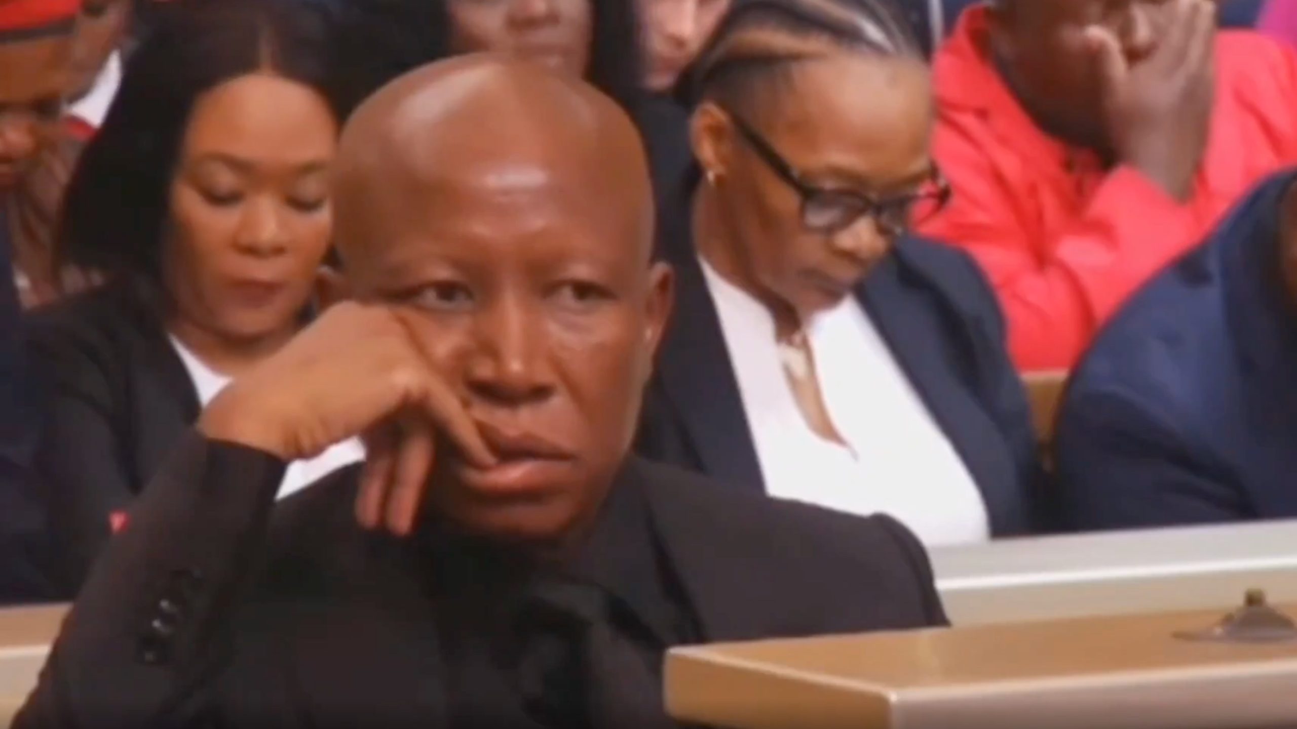 Judgment Delayed in Julius Malema Firearm Case