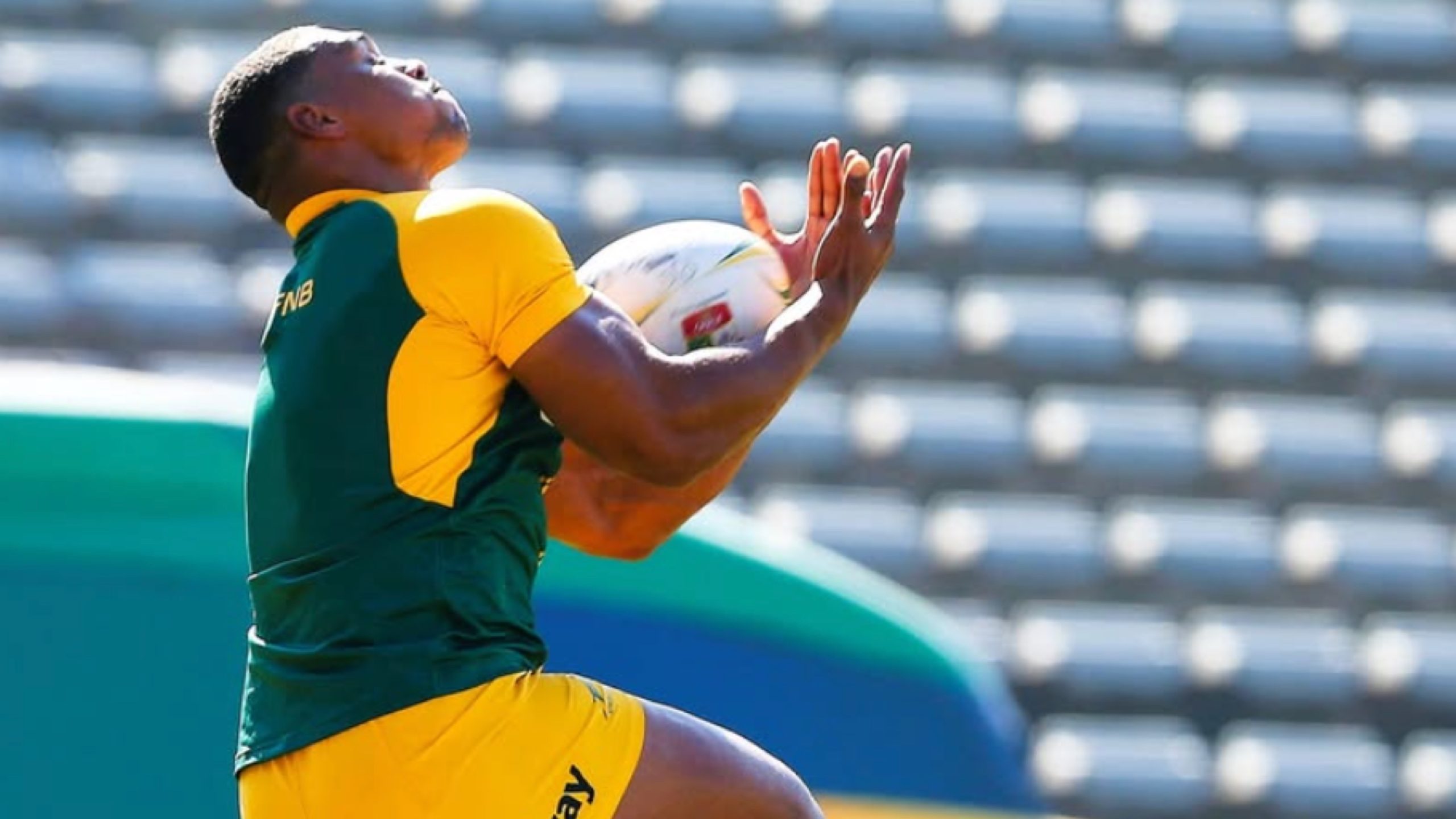 Springboks vs Wallabies: Strong XV for Ellis Park