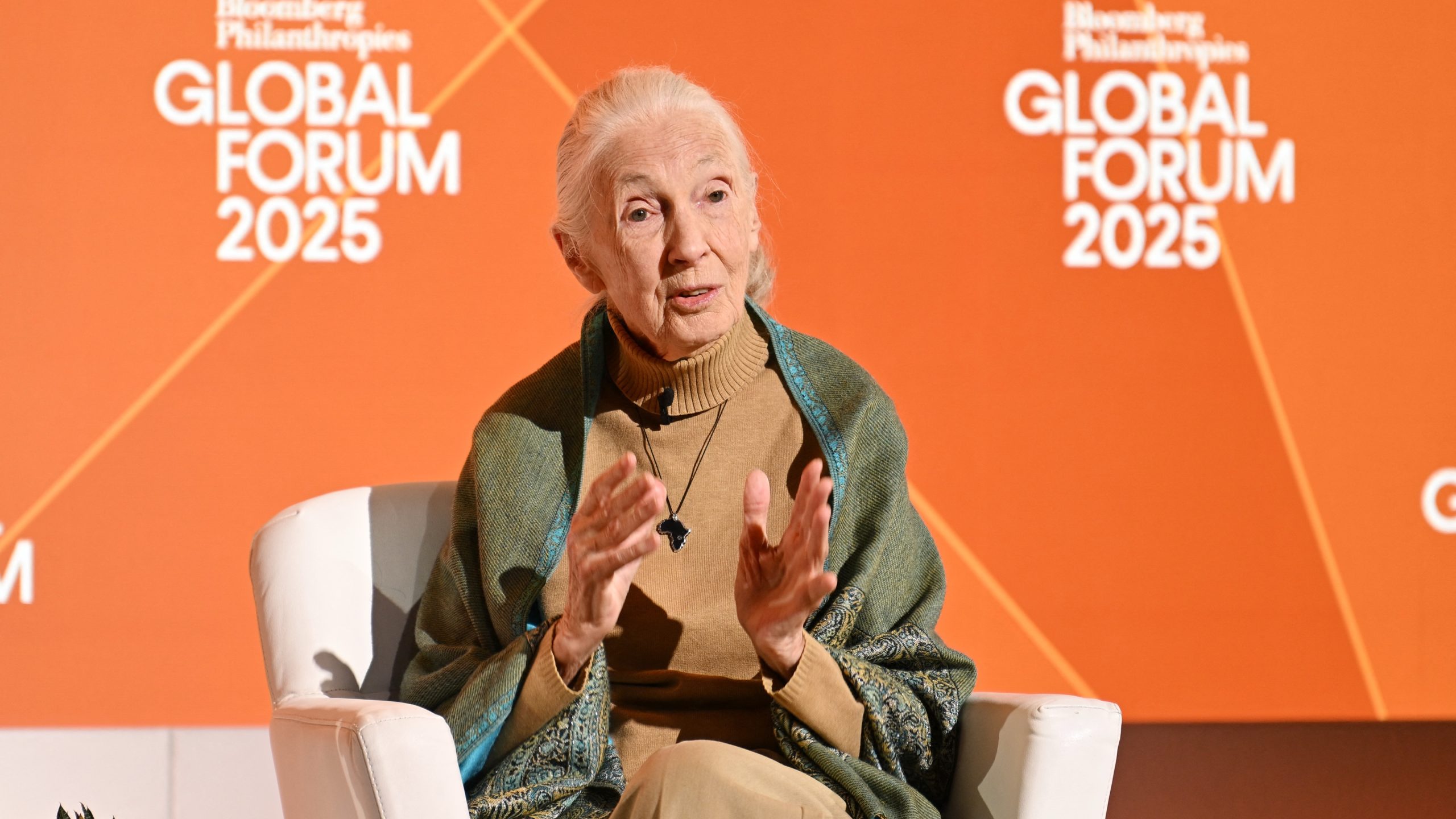 Jane Goodall Dies at 91, Leaves Global Legacy