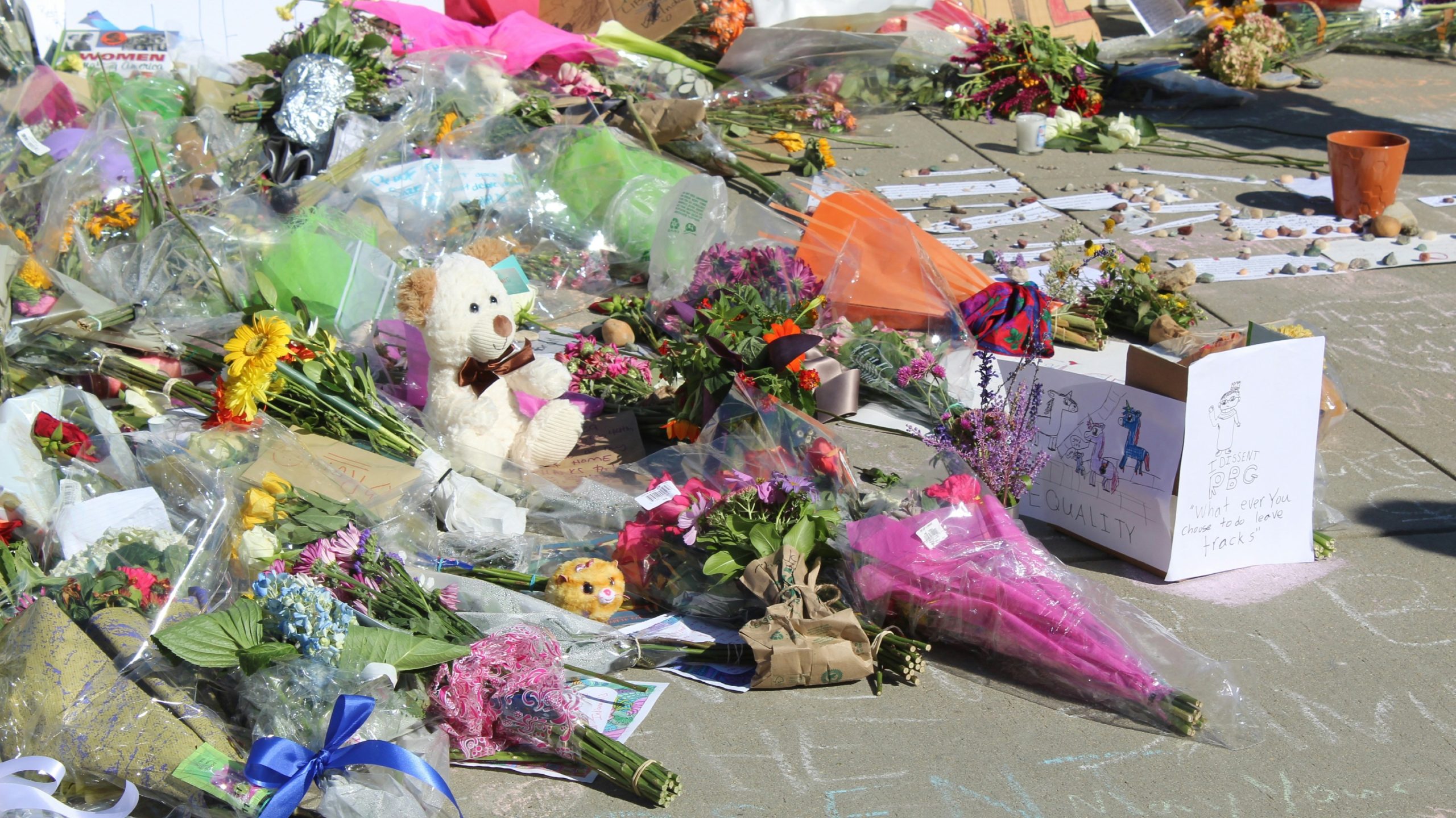 Southport Attack Survivor: Girl, 7, Survived 33 Stab Wounds