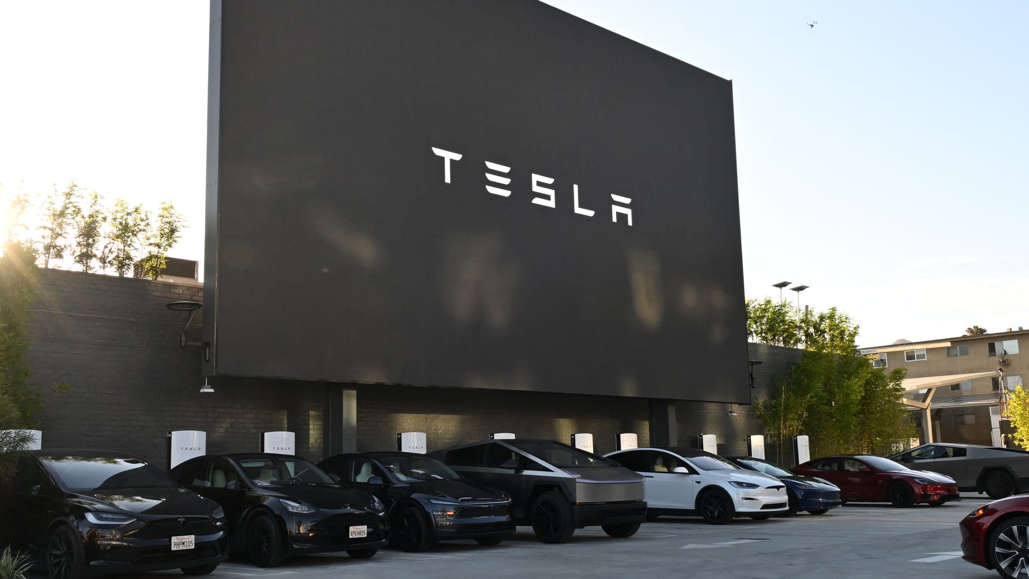 Tesla’s South Africa Launch Hits Major Roadblock