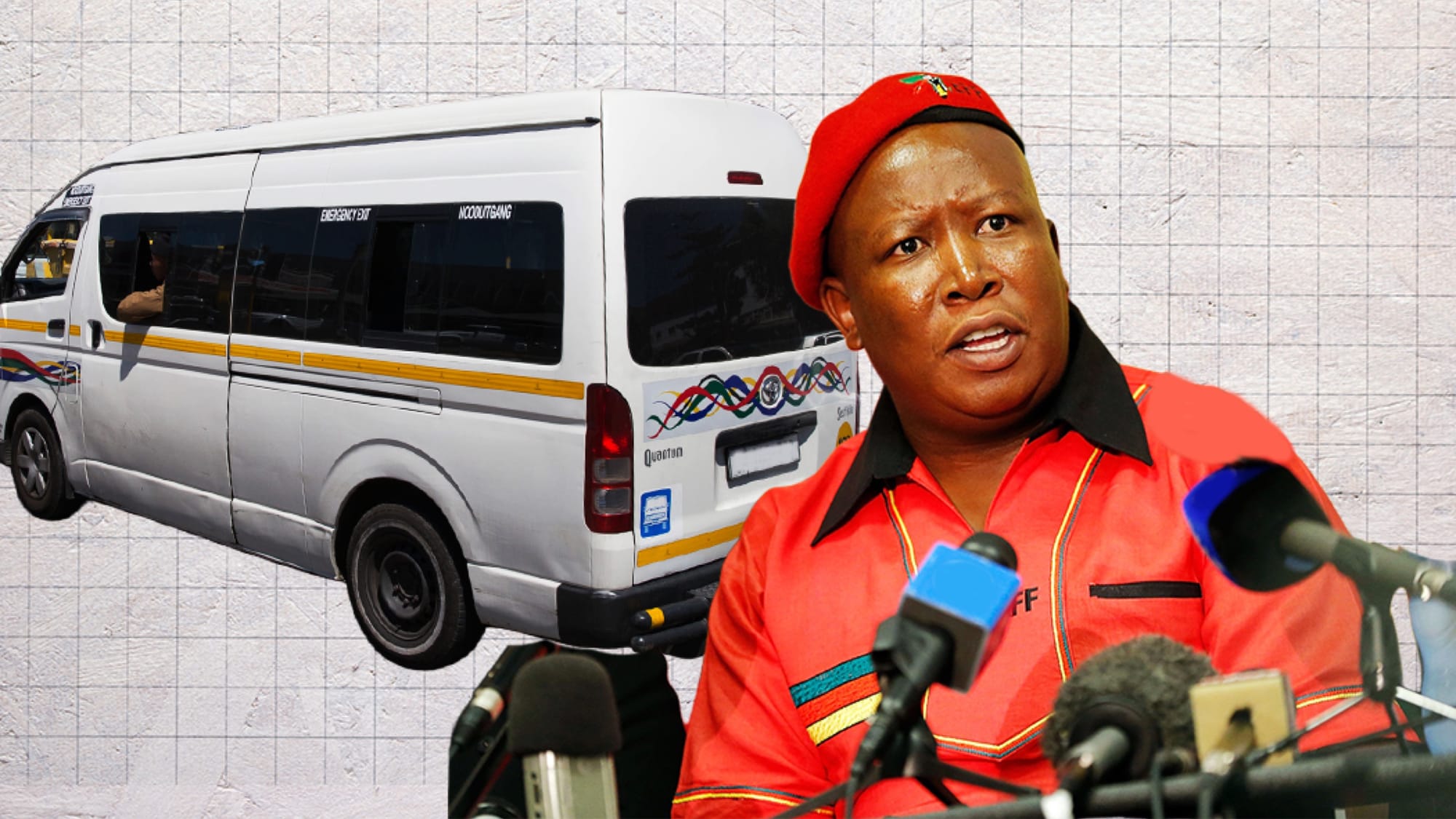Malema Msibi Visits: Chef Offers Madlanga Testimony