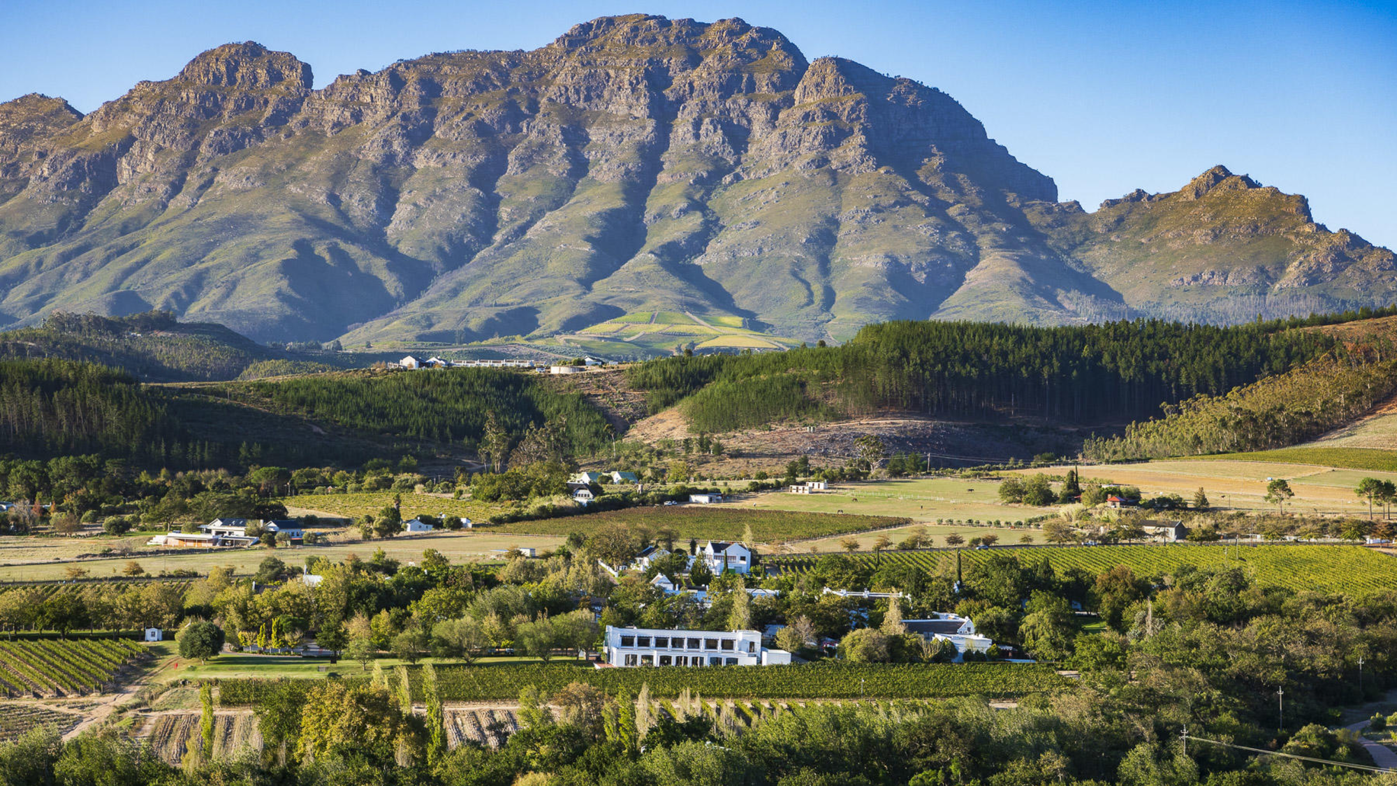 Lanzerac Battles SARB Over R220m Forfeiture