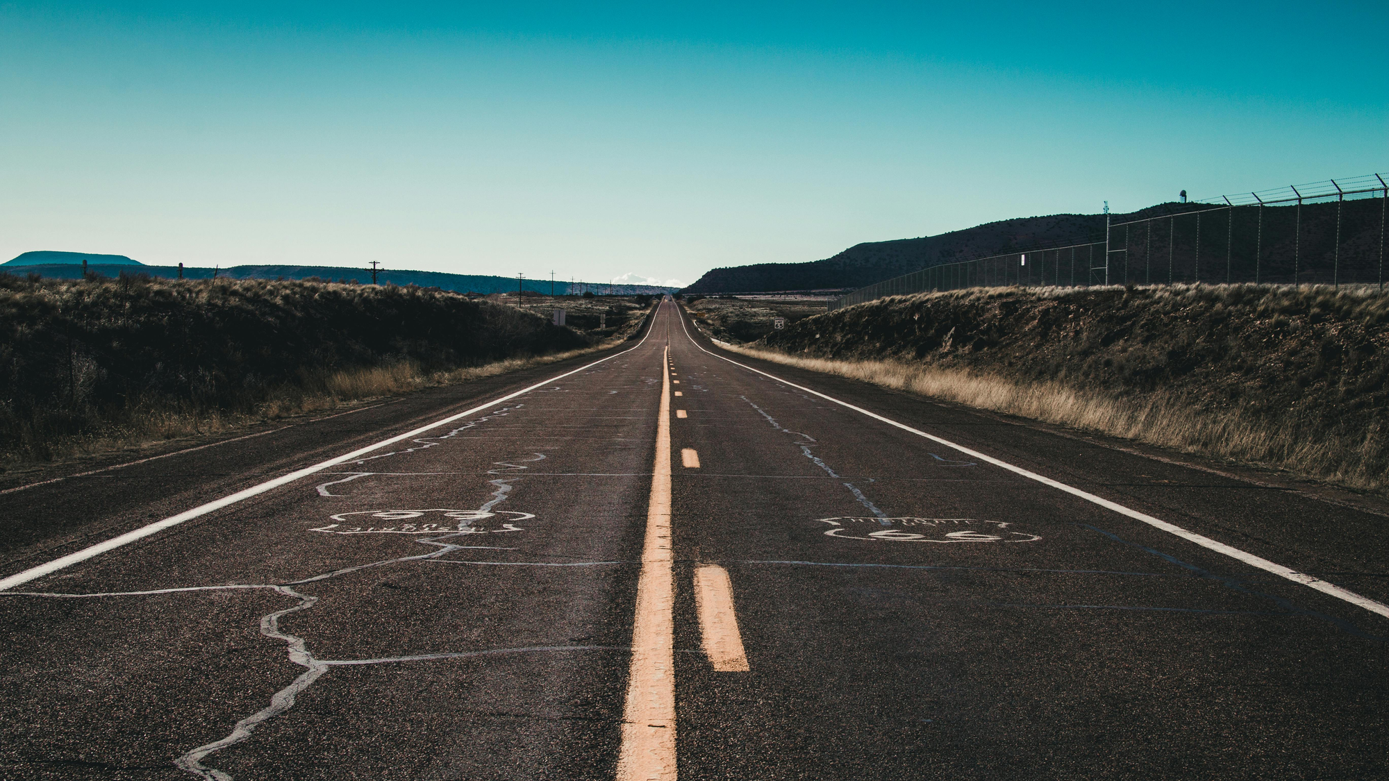 R300 Dog Hijacking Warning After Dogs Found Dead