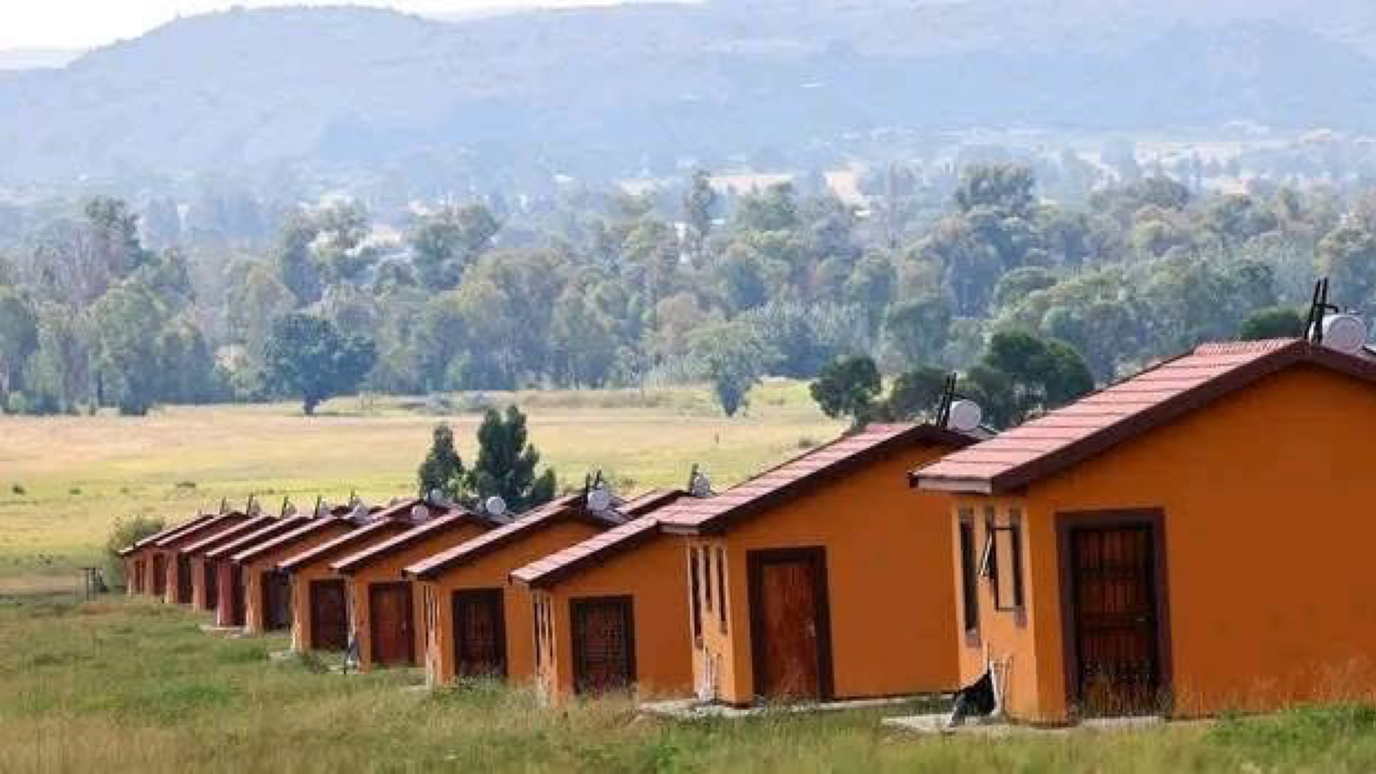 Scooby Nero RDP Houses Spark Gauteng probe