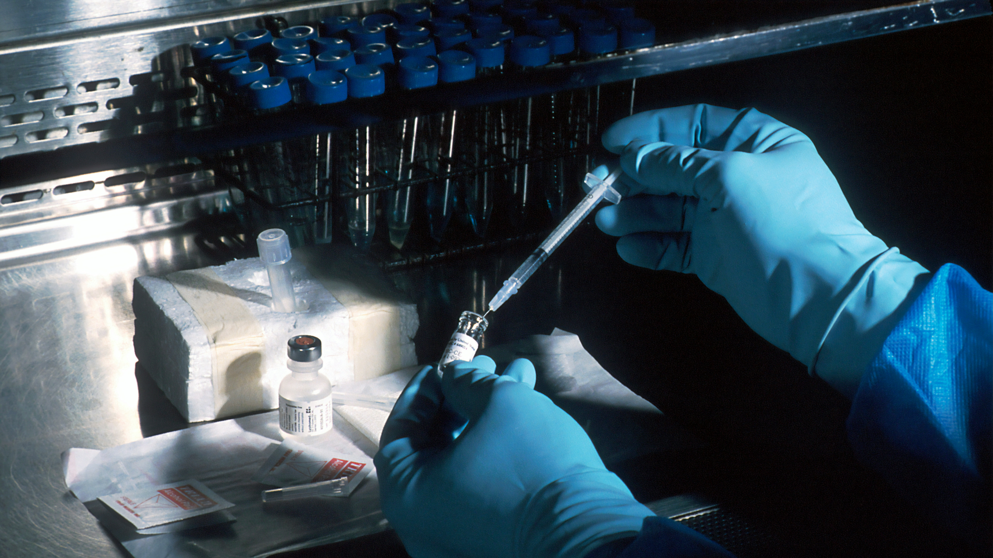 Officials Trace Joburg Flight Contacts For Hantavirus