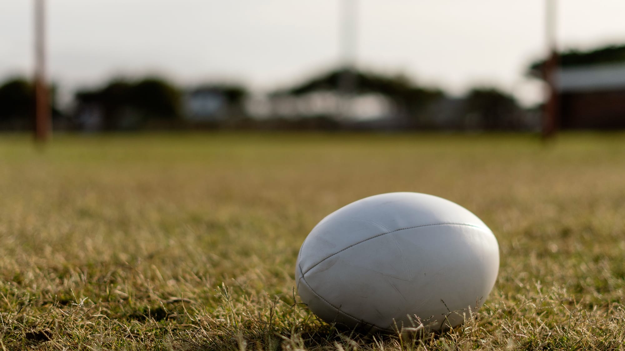 Rugby Players Rape Case: Two Arrested in Wellington