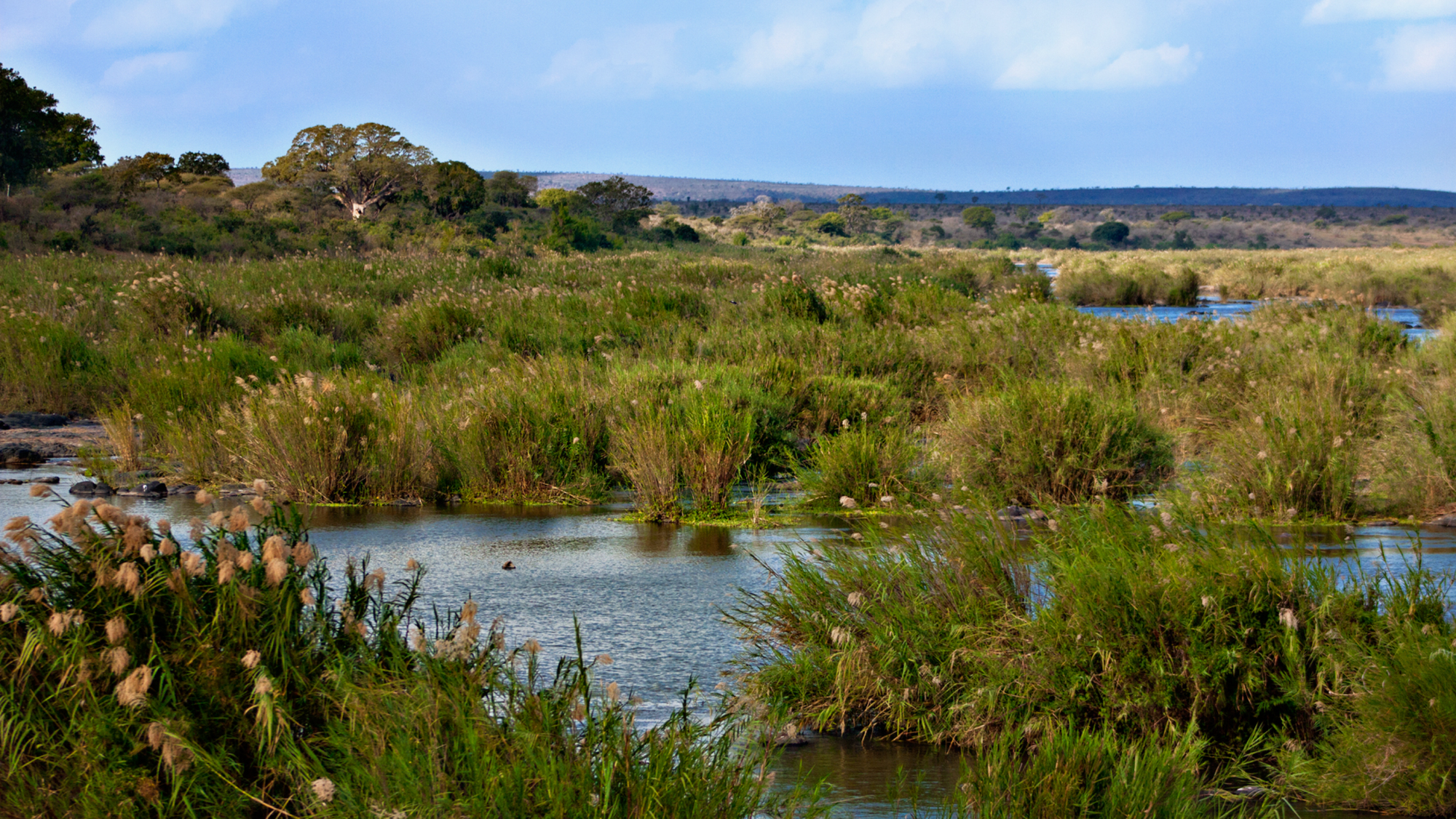 Canadian Tourist Killed in Kruger Braai Shooting