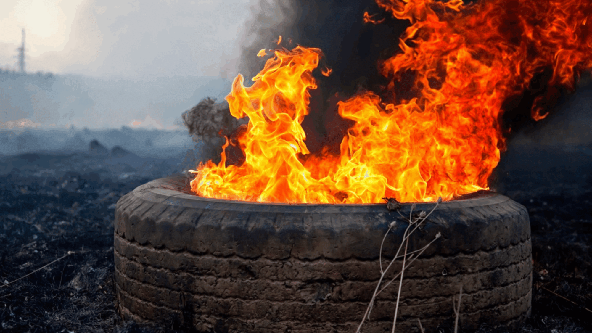Delft Power Protest Turns Violent
