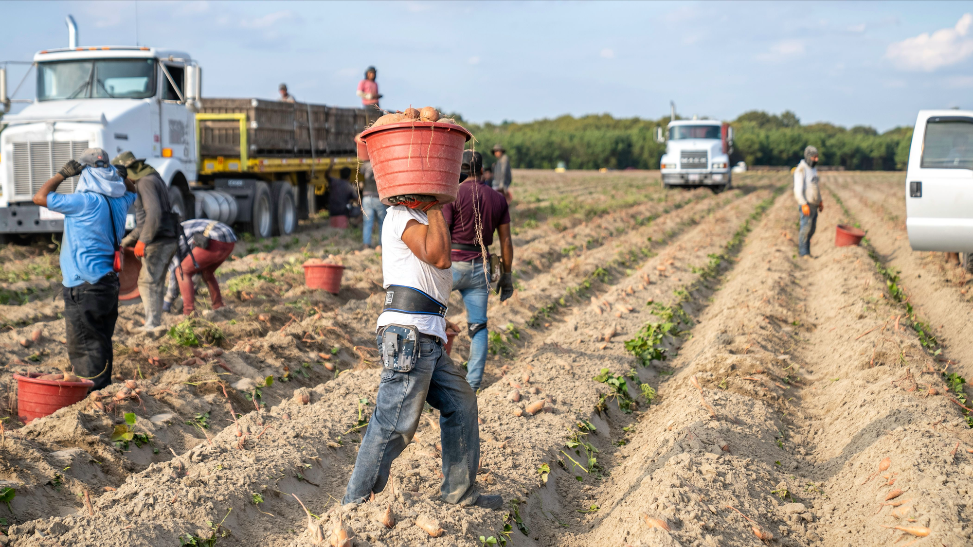 US Farmer Sued Over SA Worker Wage Gap