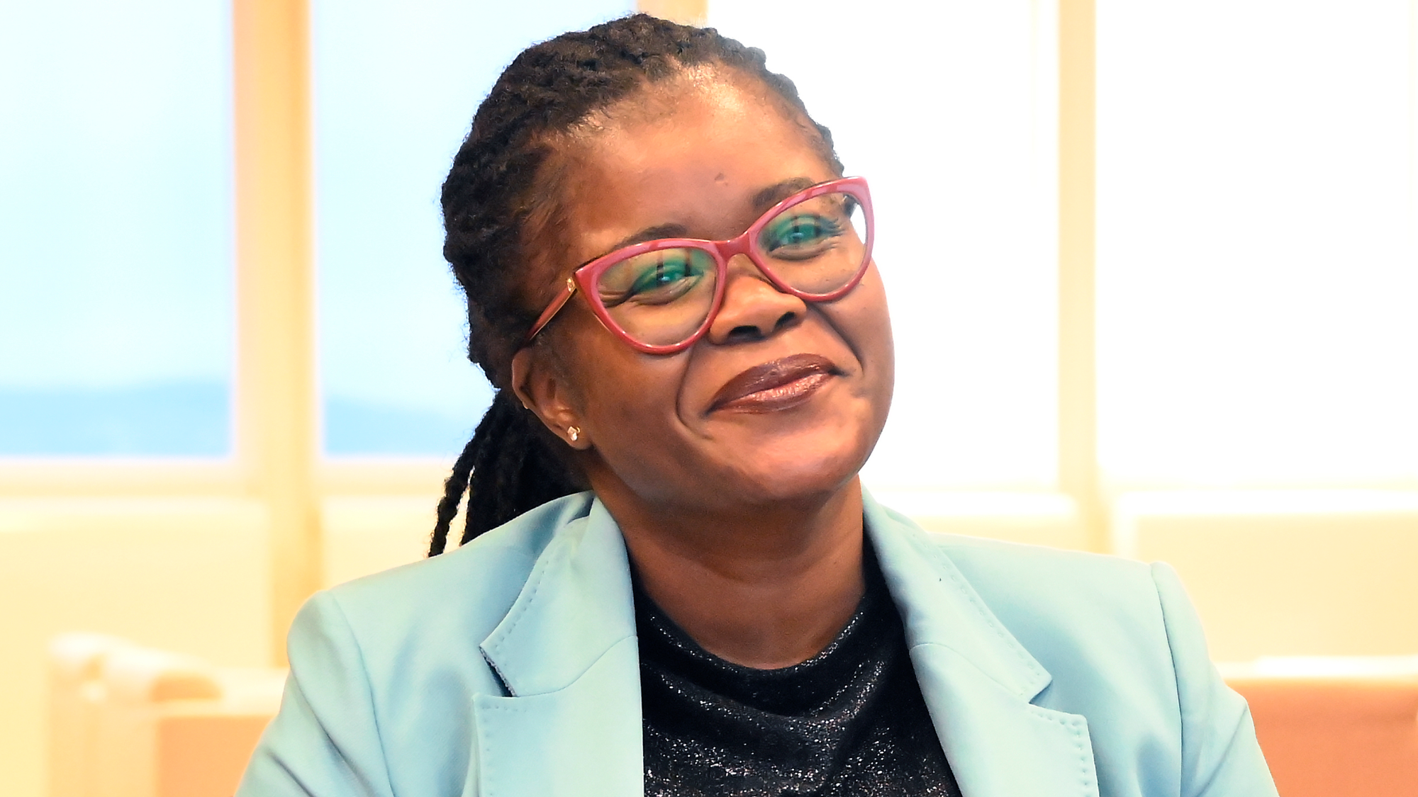 Nkabane Elected Acting Agriculture Committee Chair