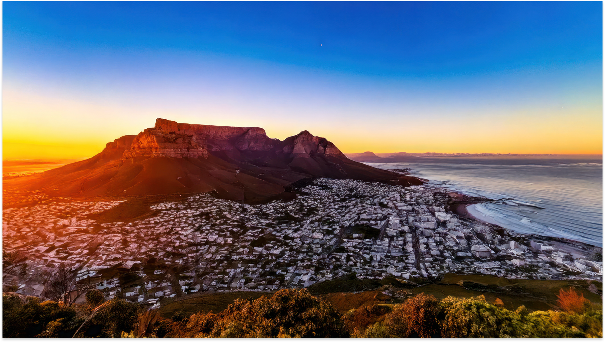 Cape Town Informal Trading Permits Face Bribery Claims