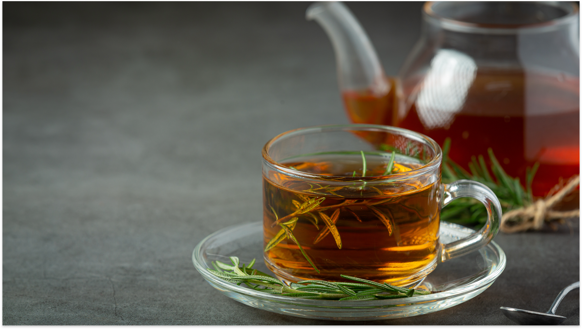 Rooibos in Space Programme Sends Seeds to ISS