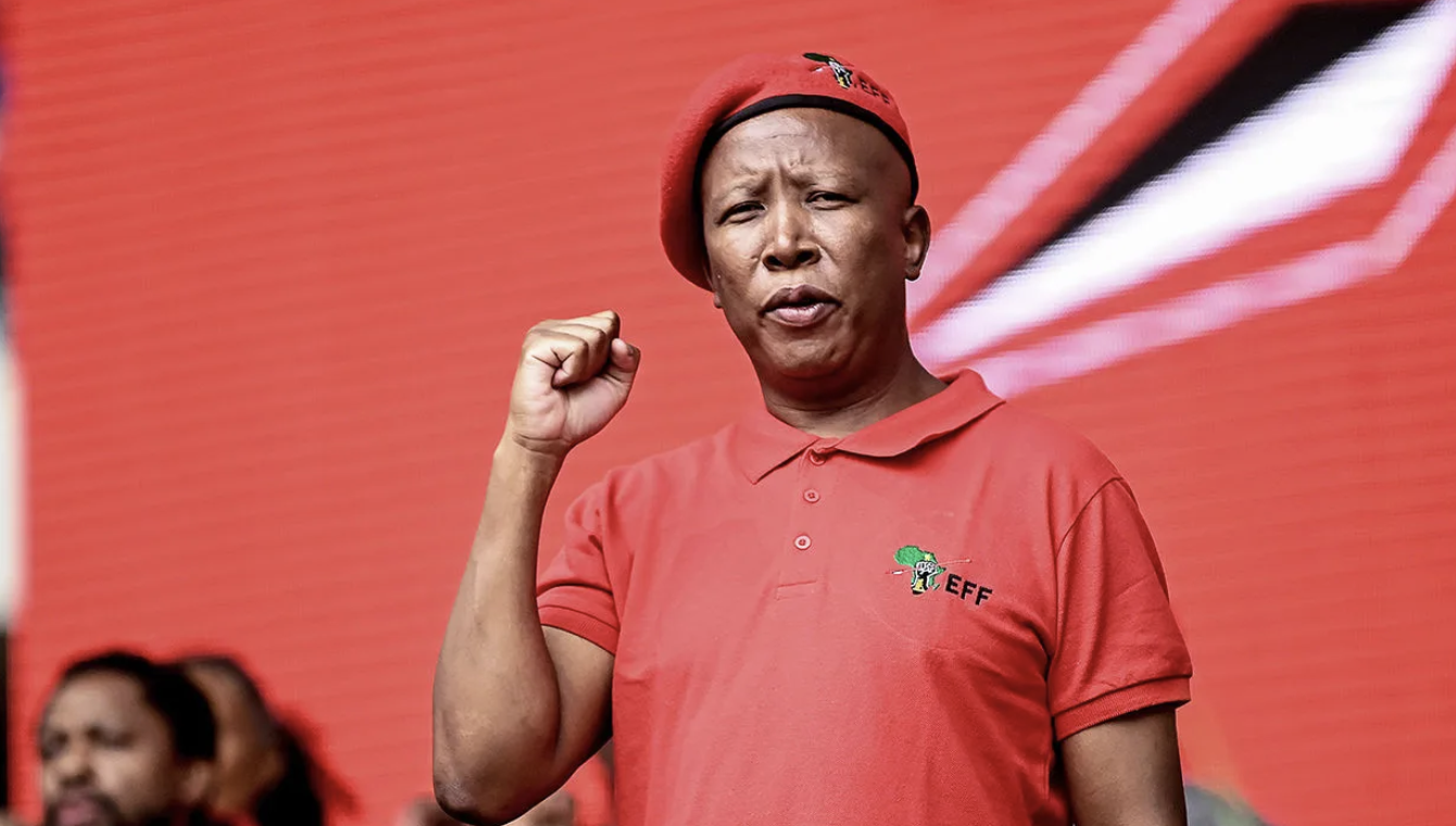 High Court Orders Oral Evidence in Escalating Malema and Mchunu Legal Battle
