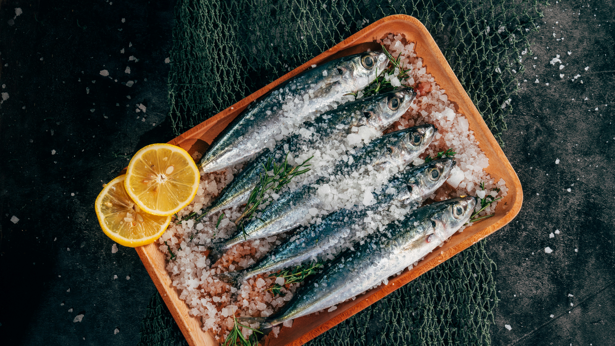 Western Cape Sardine Die-Off Under Investigation