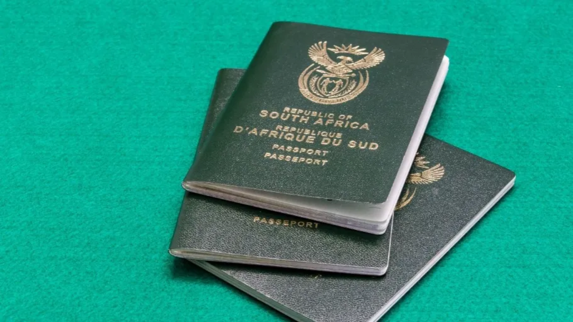 Home Affairs Probes 21 Identity Fraud Cases
