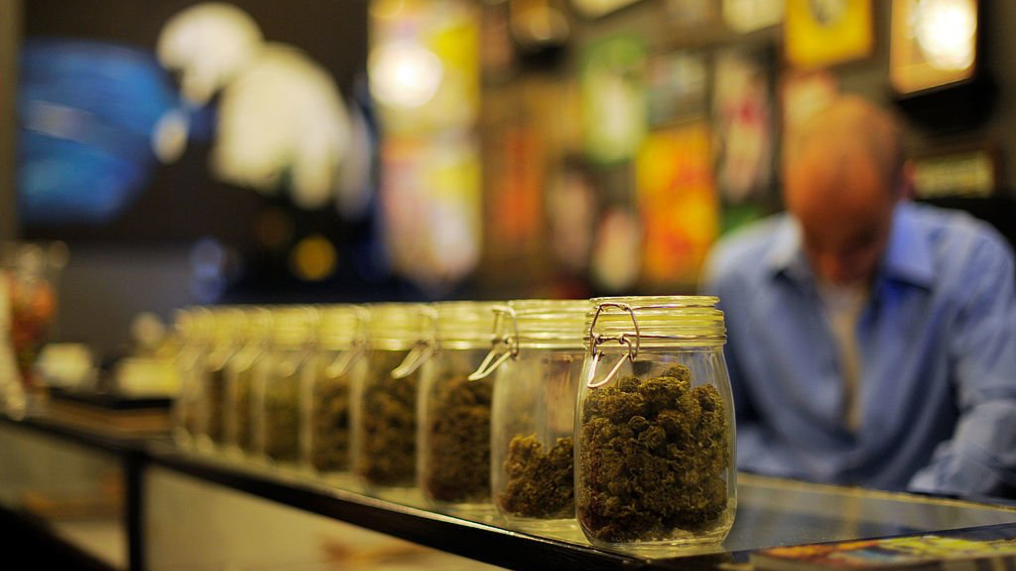 SA Draft Cannabis Rules Propose 750g Possession Limit