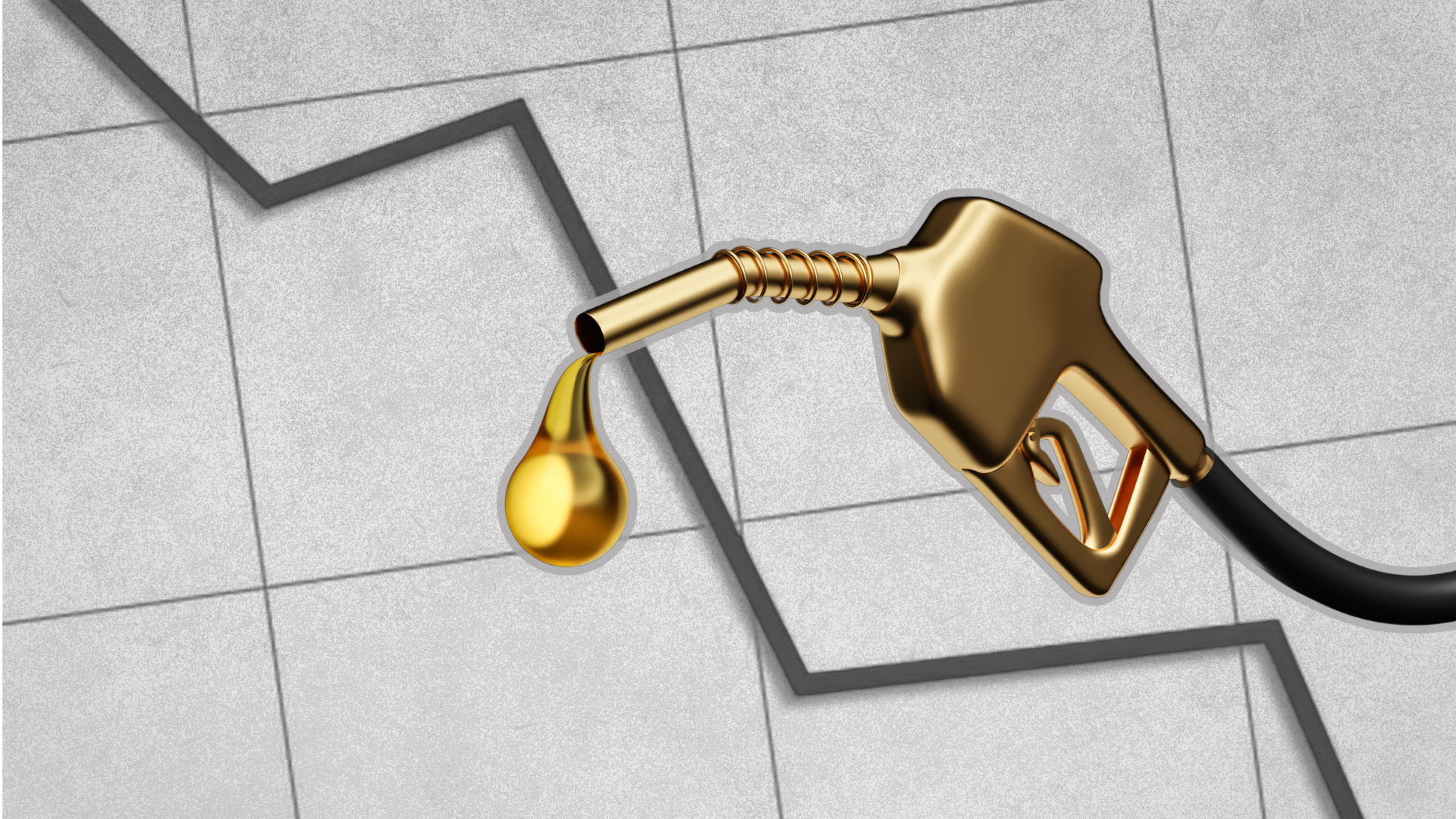 South Africa Fuel Levy Cut Brings Relief to Motorists