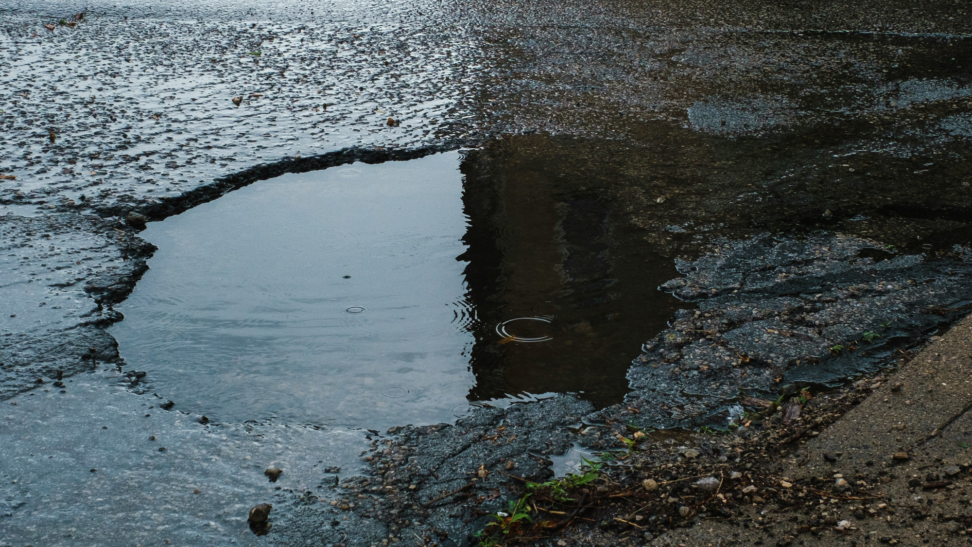 Government Calls on Private Sector to Fix Municipalities