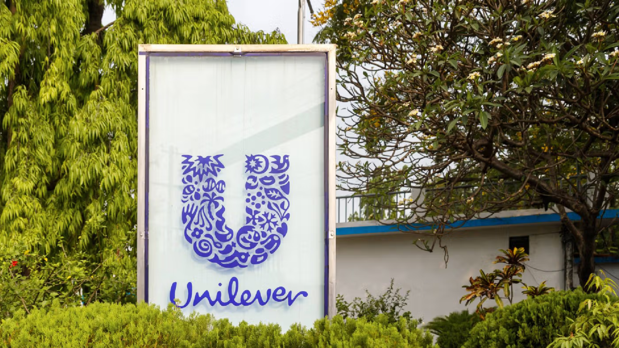 Unilever Invests R100m in Durban Manufacturing Plant