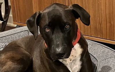 Phosphorus - the bringer of light