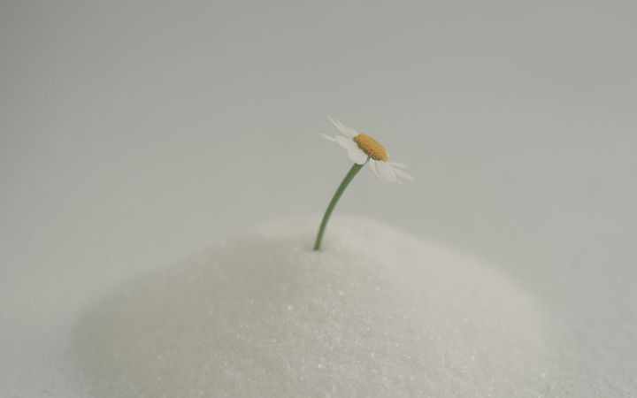 Kali Phos - The Tissue Salt You Need When You're Overworking