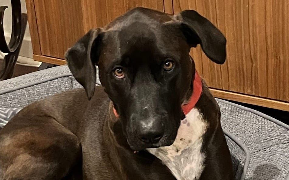 Phosphorus - the bringer of light