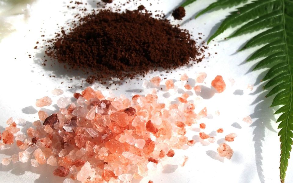 Biochemic Tissue Salts in Practice