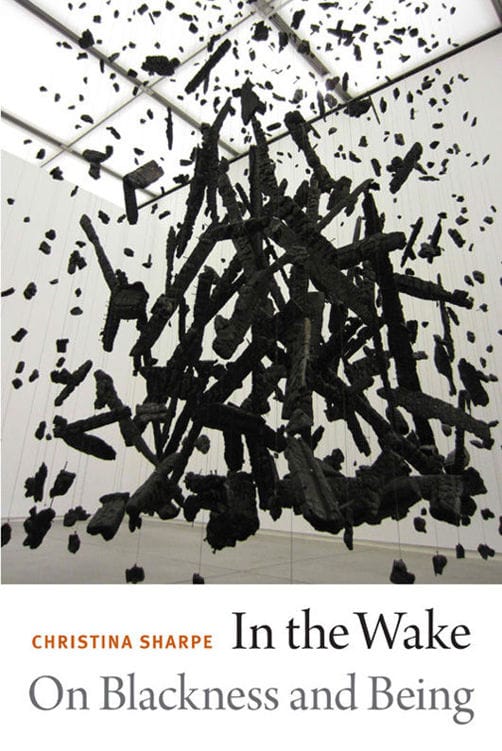 In the Wake: On Blackness and Being (2016), a book by Christina Sharpe, published by Duke University Press