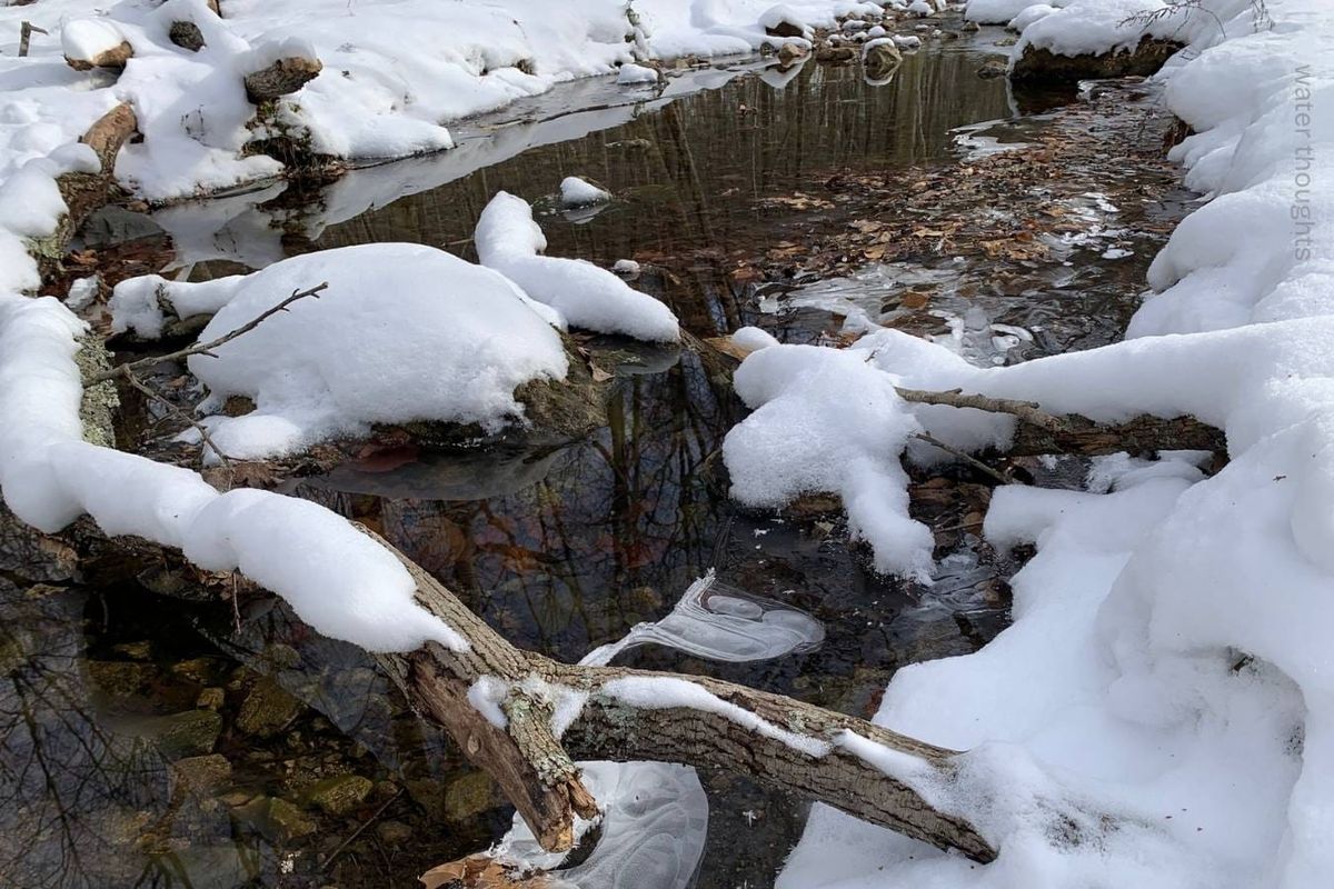 Creek with logs, ice and leaves in the water, fresh snow around it, and a reflection of trees in the water