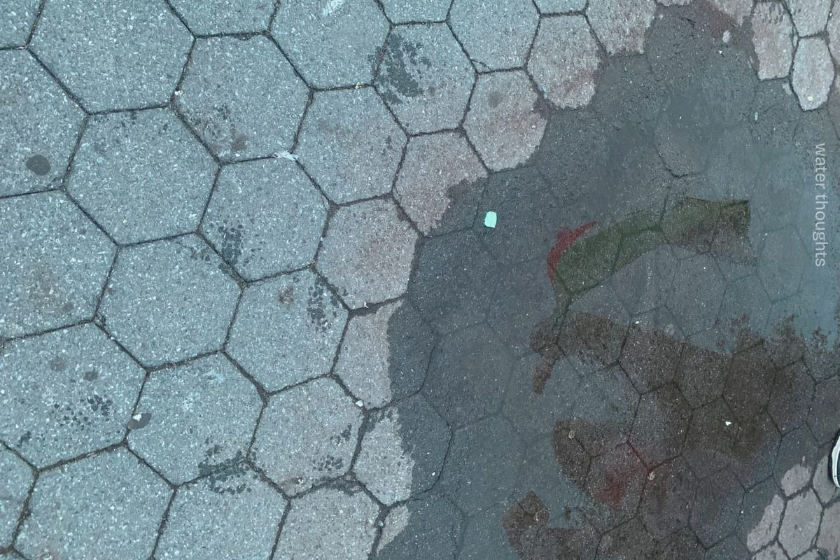 person holding a Palestinian flag that is moving in the wind, reflected in a puddle on tiled concrete ground, photo by water thoughts