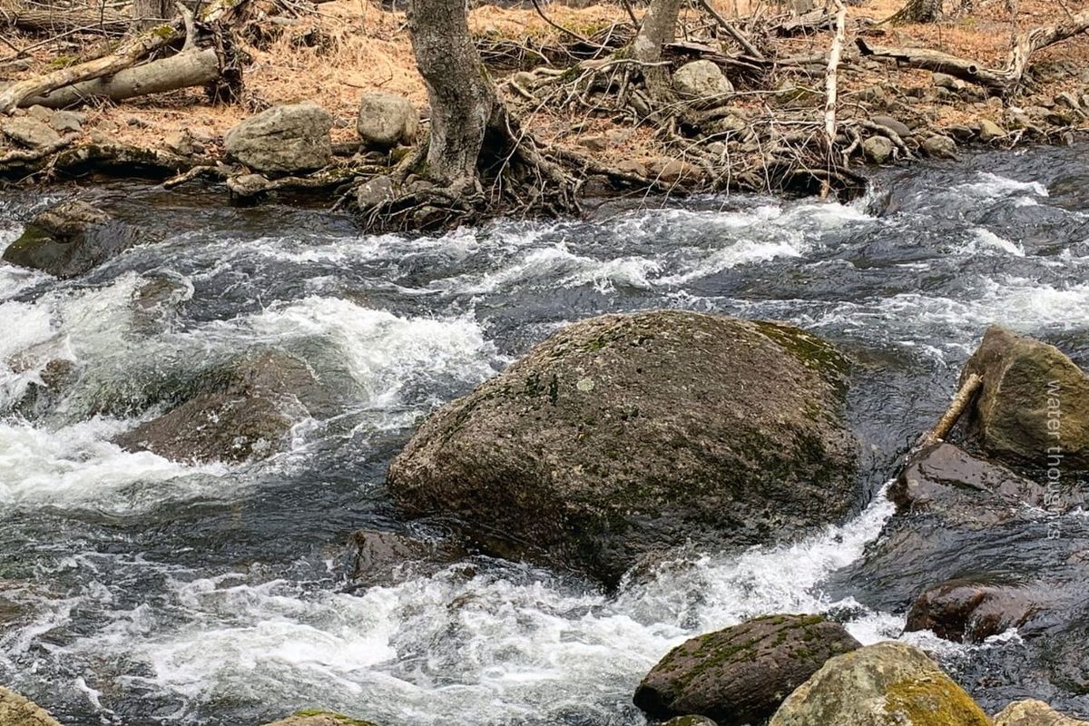 river running right to left over and around rocks, a tree is along the opposite bank, roots exposed to water, branches lie on ground, photo by water thoughts