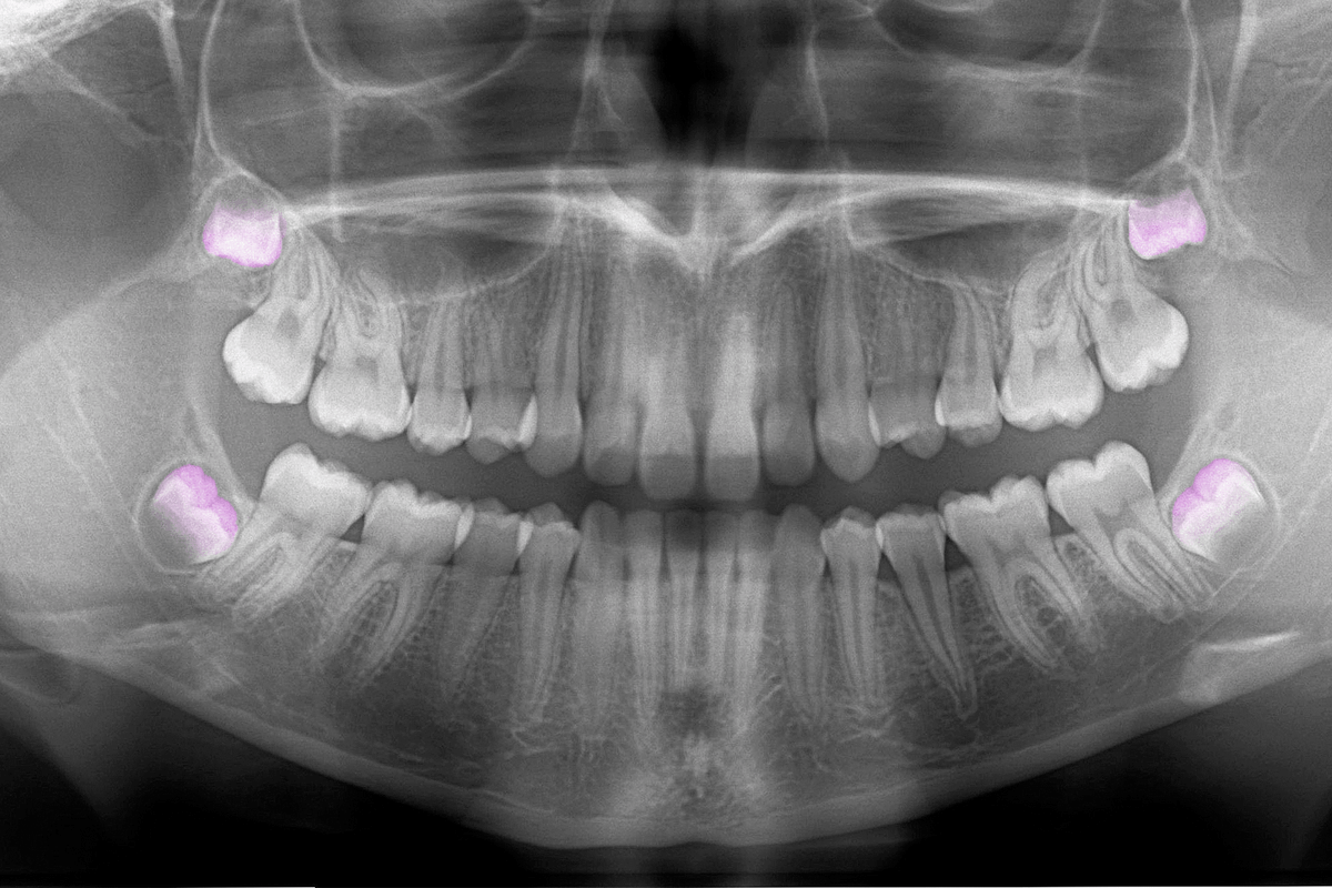 Tech, Ads, and Regulation Shift