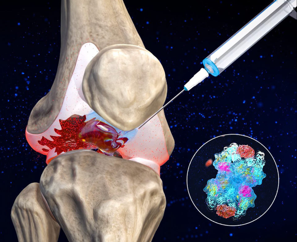Why Is Phase 1 Data So Important for Investors?