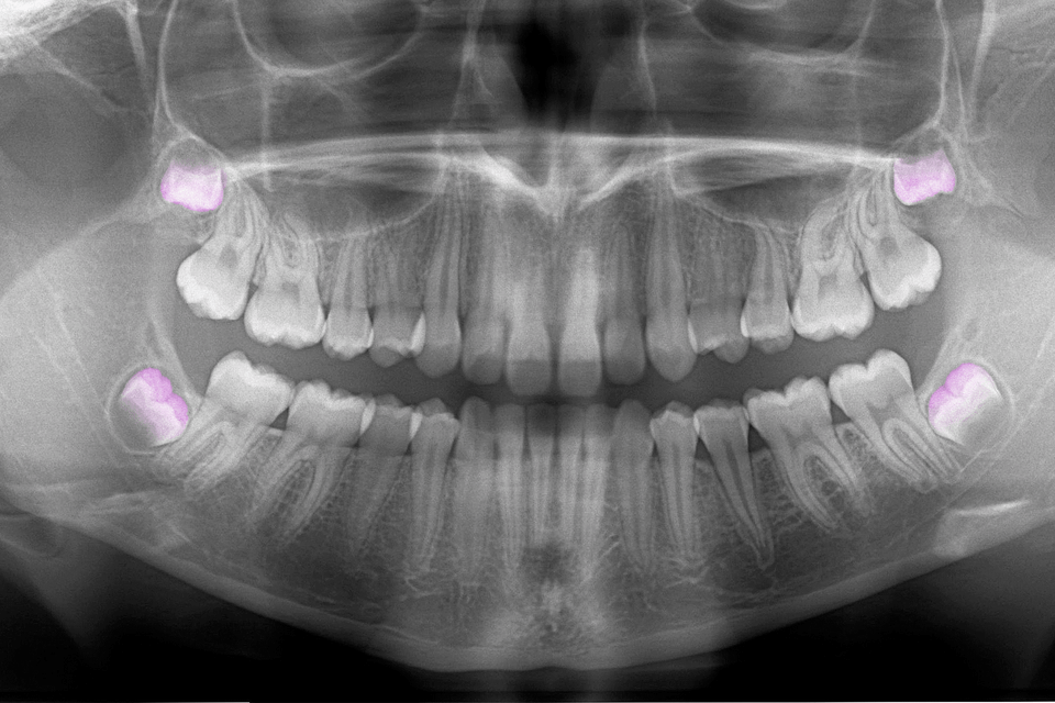 Tech, Ads, and Regulation Shift