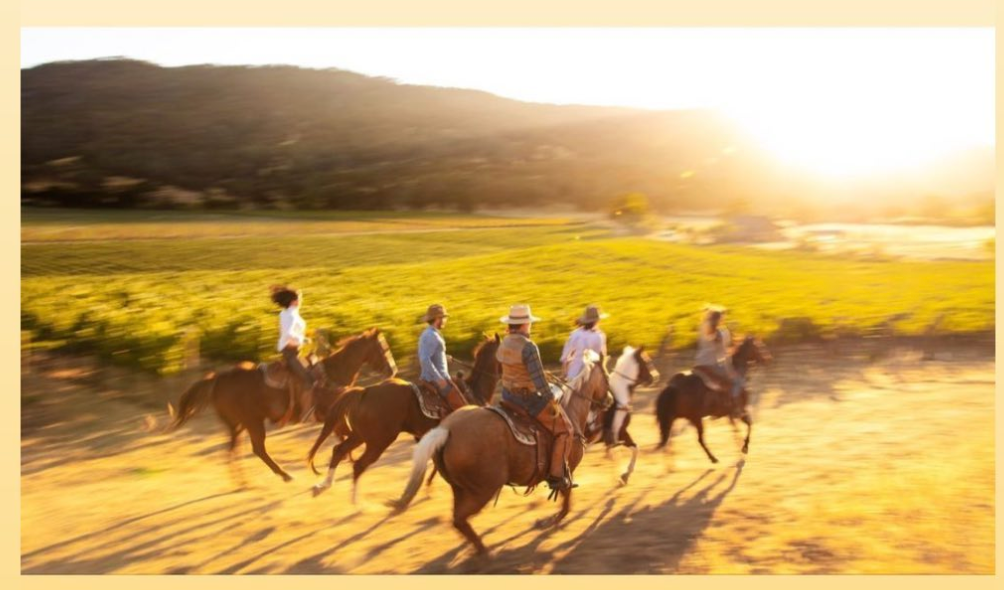 The New Vineyard Algebra