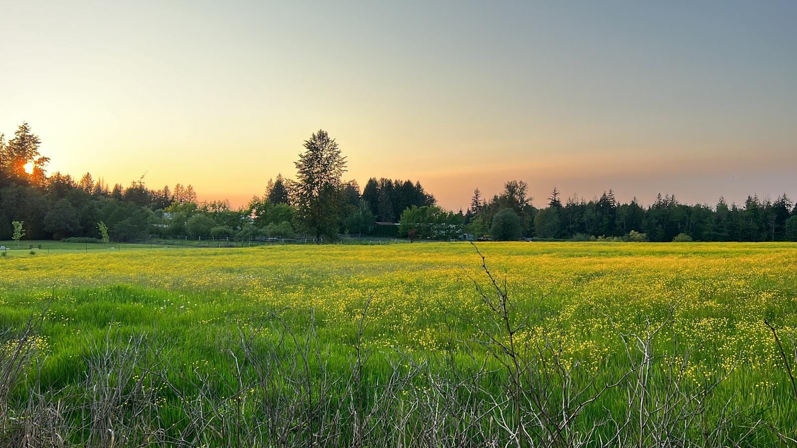 Endless Summer. 2025.