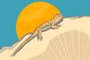 Meet The Locals: Western Fence Lizards, or Bluebellies
