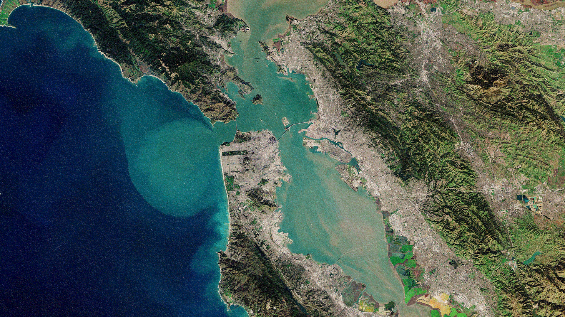 Data Center Frenzy: A Bay Area Primer