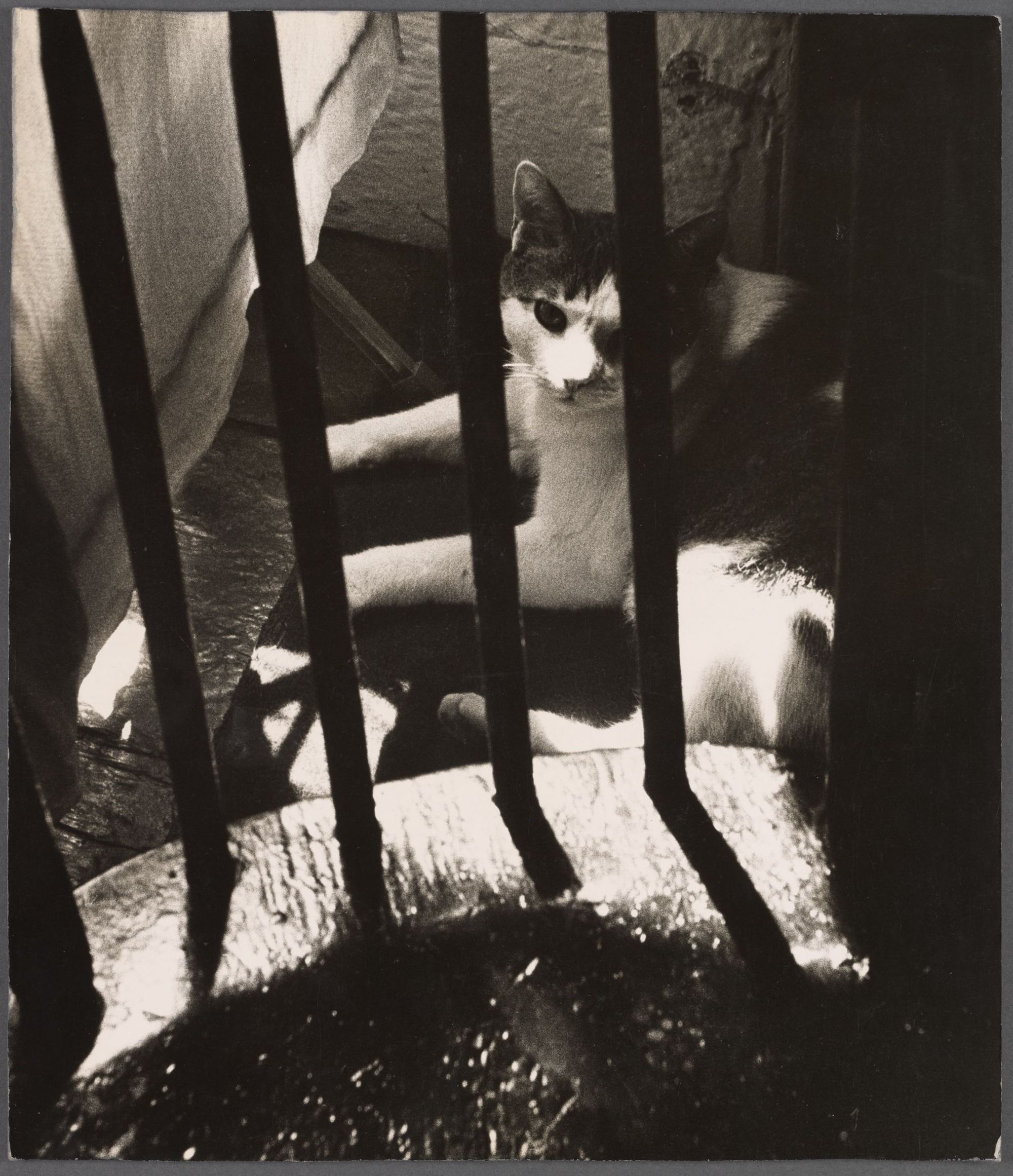 Ten-Minute Mysteries