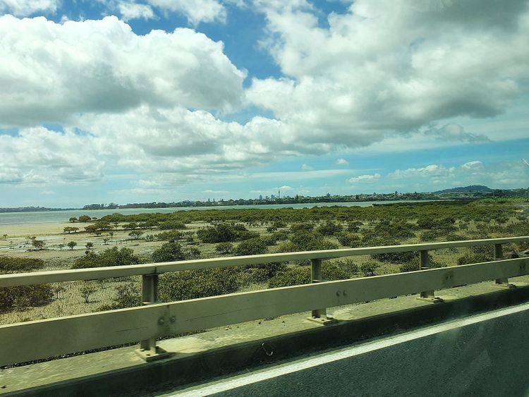 The Mangrove Murder (1/4)