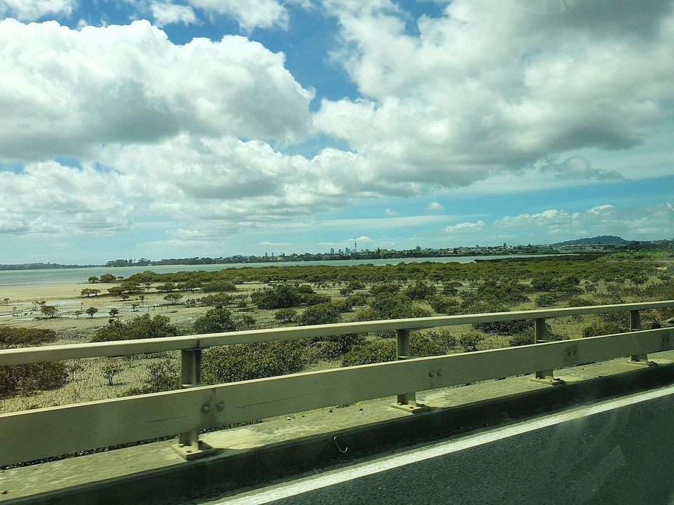 The Mangrove Murder (1/4)